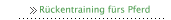 Rückentraining fürs Pferd