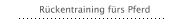 Rückentraining fürs Pferd