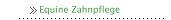 Equine Zahnpflege
