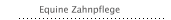 Equine Zahnpflege